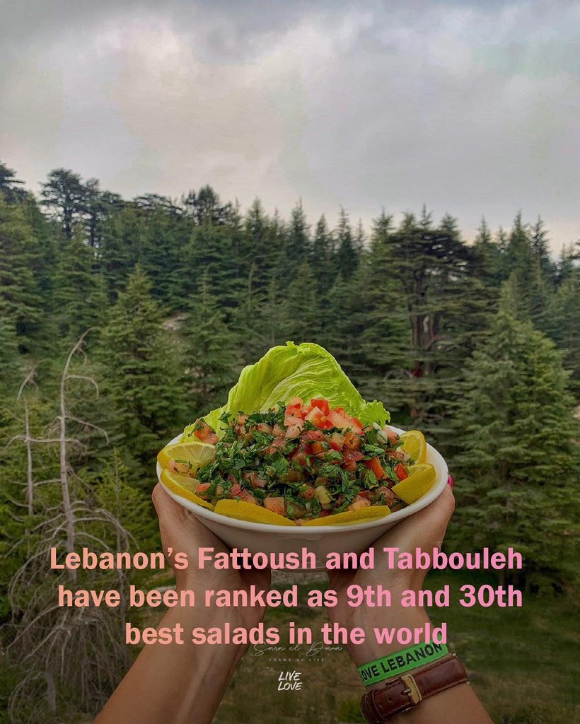 Lebanese food supremacy! 
🇱🇧 Proud to see Lebanon's culinary influence recognised once again making it to the top 30 best rated salads in the world. 🤩🥗 
#lebanesefood #salads