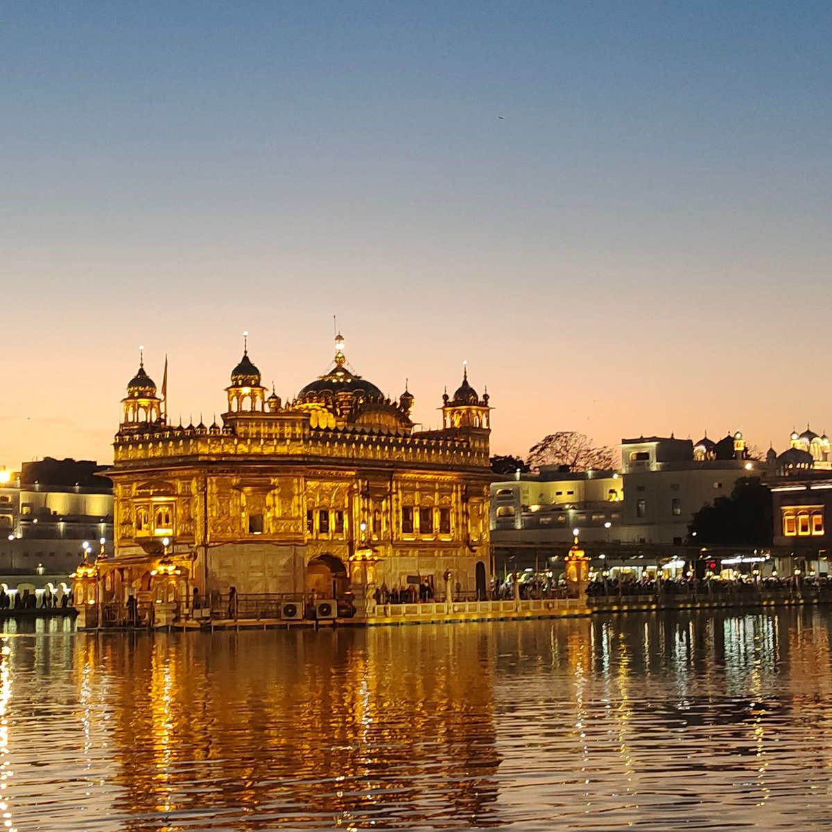 Sandhu65587's tweet photo. #NewProfilePic https://t.co/uTAfDhL89U
