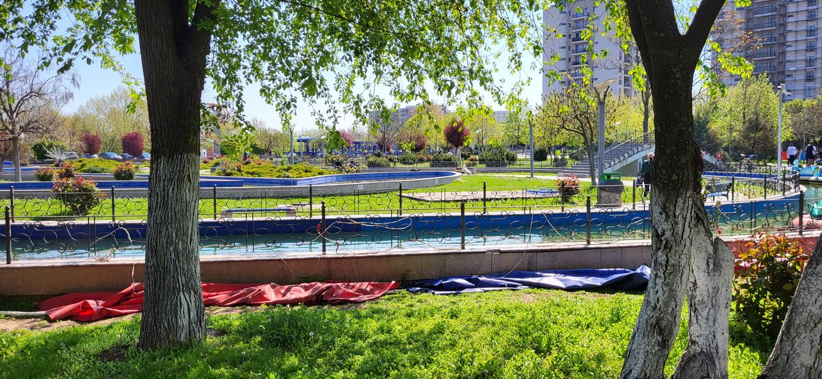 FaneTitus's tweet photo. Parcul Tineretului, este primăvară https://t.co/W3VPILvuIw