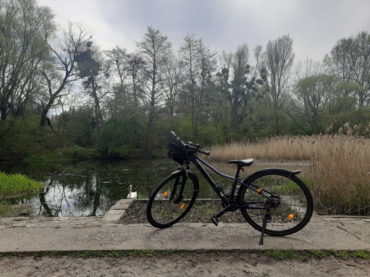 _programmergirl's tweet image. Wreszcie wyszło na dłużej słońce, czas ładować baterie na świeżym powietrzu!
Pozdrawiamy z łabędziem :)

Zmniejszam aktywność &quot;po pracy&quot;, ale możemy się zobaczyć na @wrocnet (wtorek, PL, Wrocław ze mną i Piotr Wachulec ) i The Way Forward  (czwartek, EN, online z @konradkokosa )