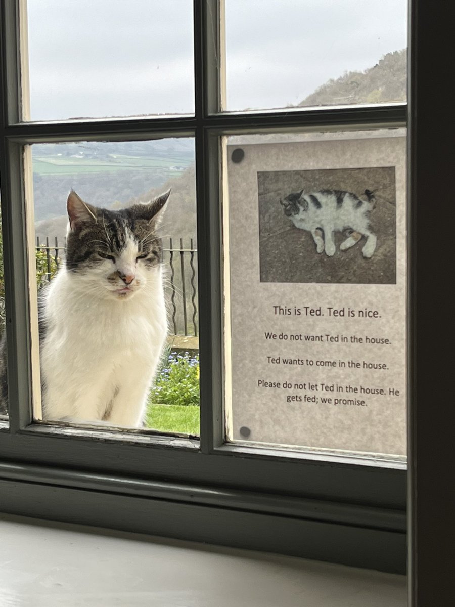 Nina Woodcock tweet media