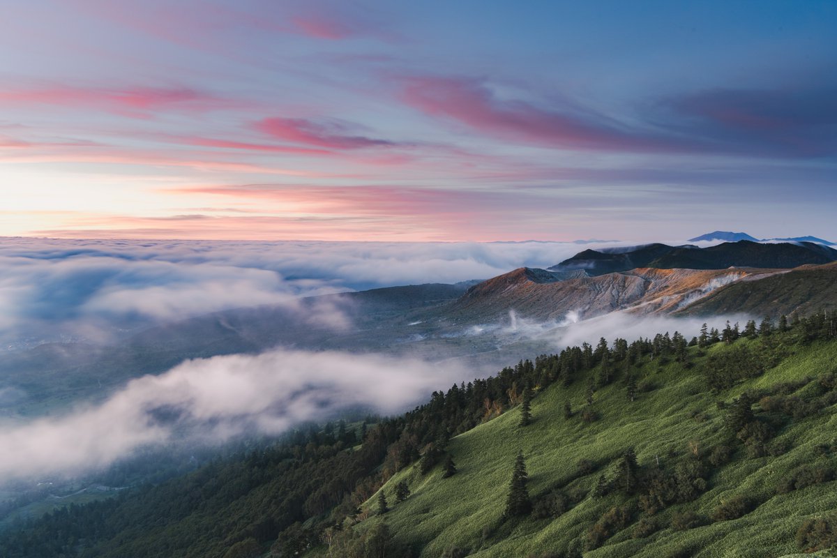 あやか tweet media