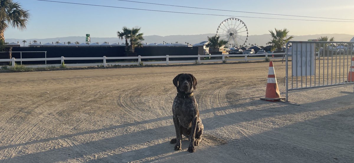 GoteamK9's tweet photo. Feeling privileged and honored to be working at Coachella this weekend! Only the best of the best in the country get to play out here during this week. #Coachella #WeekendVibes #MusicFestival https://t.co/7Sky0ZbGyj