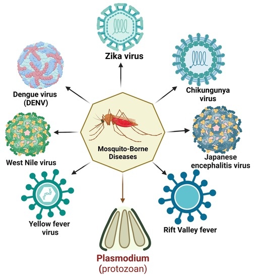 bloodSparasites's tweet photo. Pathogens, Vol. 12, Pages 635: Mechanism of Immune Evasion in Mosquito-Borne Diseases https://t.co/SUnoVgZ99x @Pathogens_MDPI https://t.co/HvKfVG5UhE