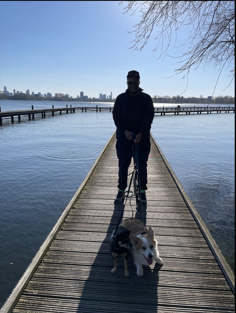 Benny Rodrigues tweet media