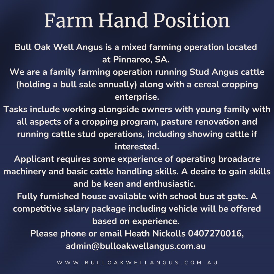 Bull Oak Well Angus tweet media