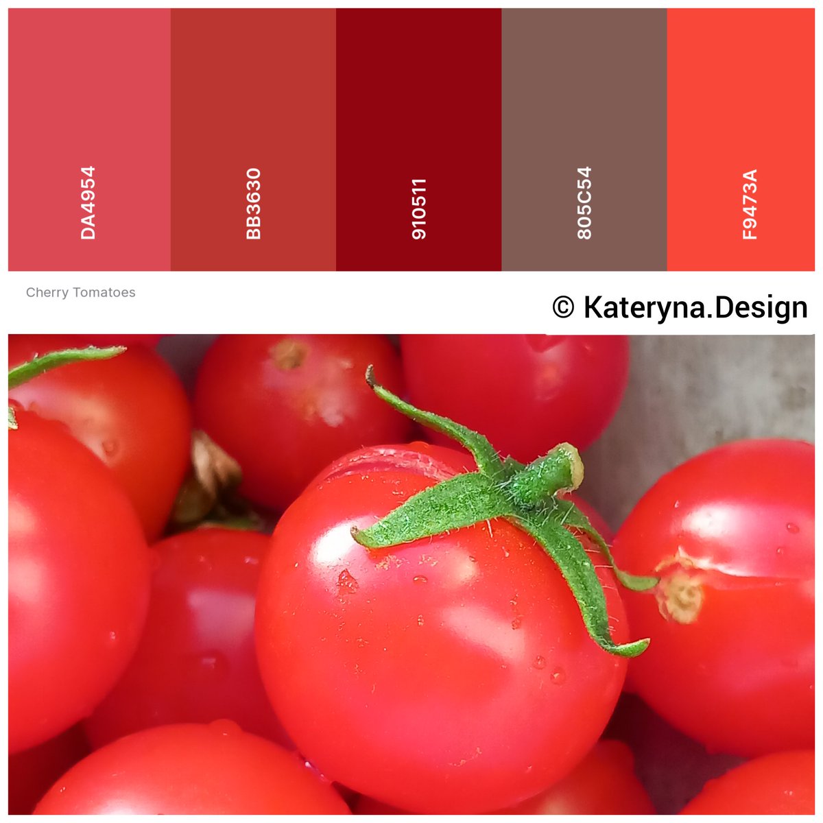 Kateryna_Design's tweet photo. A colour palette of the week.
.
#colourinspire #red #inspiration https://t.co/baPz36LHPK