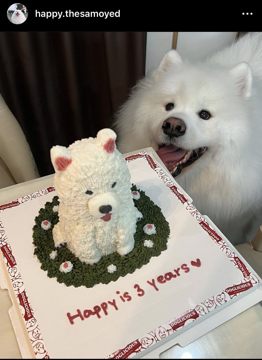 99diealone's tweet image. เมื่อวานวันเกิดน้องคนนี้อะ เกิดห่างน่อ1วันเอง 🥺 แถมอายุเท่าน่อเลย น่อบอกเป็นหมาน่อก็3ขวบ