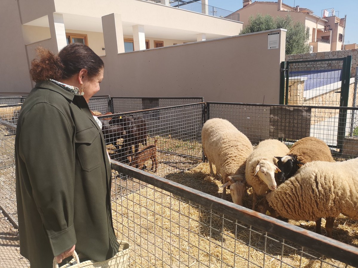 Conselleria d'Agricultura, Pesca i Medi Natural tweet media