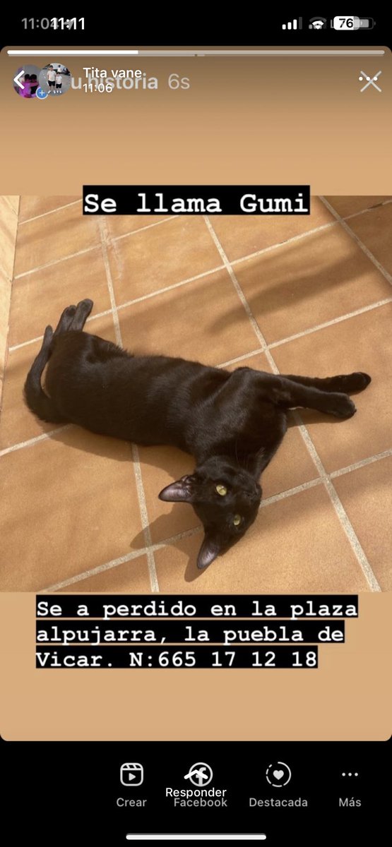 __maevavargas's tweet photo. Por favor 😭🙏🏼 https://t.co/LGa7CARy9N