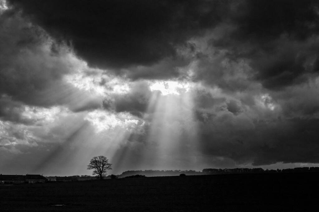RadioAndrewE's tweet photo. There’s a storm coming … (4.39pm, 17th March 2023)
From the Cleveland Way north of Scarborough, North Yorkshire
#blackandwhite #blackandwhitephotography #monochrome #monochromephotography #landscape #landscapephotography #landscapes #landscape_capt… https://t.co/wKEsiDGlYD https://t.co/Totxk0tDZ8