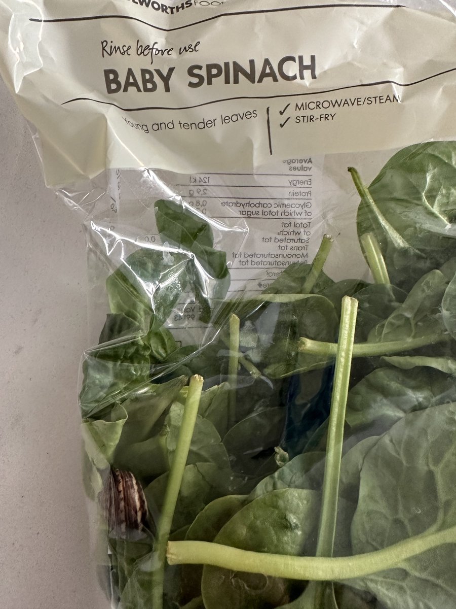 TheVandaliser's tweet photo. Hey @WOOLWORTHS_SA. I’m vegetarian. I’d REALLY appreciate it if there weren’t snails in my baby spinach https://t.co/LGY1n5h3XD