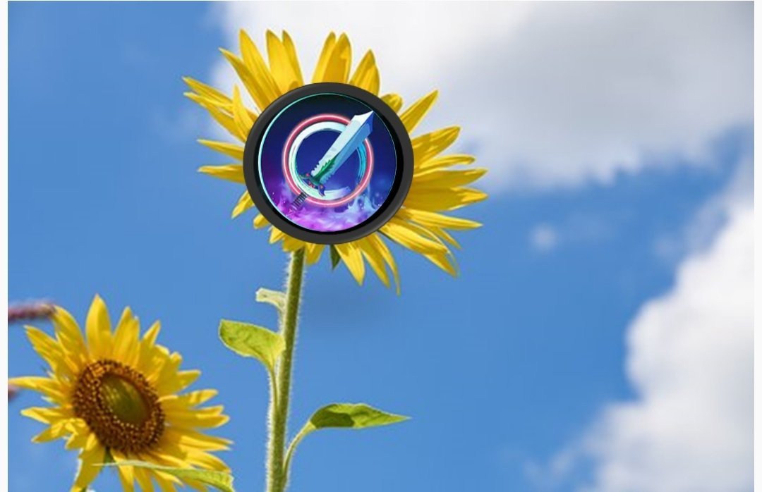 carlee_dooms's tweet photo. Sun Flower only up to the sky @MagicCraftGame $mcrt https://t.co/8uJD5KqlMp