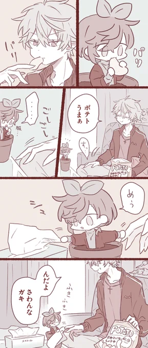 🌱の観察日記13 