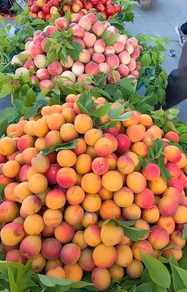 AfricanGrowers's tweet photo. Can you tell the name of these fruits?
Tag a friend. #fruits #food #foodies #africanfoodies #fruitsbasket #fruitnet #TAGsFarm https://t.co/1zJn7PN24R