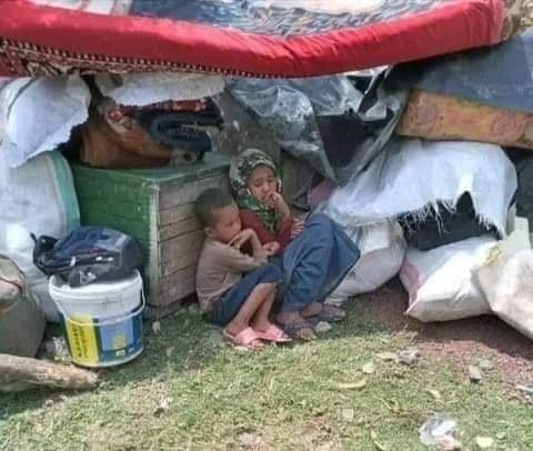 ሀ) ቤት አታፍርሱ ሲባል የምትናደዱት ሆይ፤ ሰው የሀገሩን ልጅ ሀዘን ካልተጋራ ምንድነው የሀገር ትርጉም?
ለ) መንግስት ችግር ሲገጥመው ወደ ህዝብ የምትላኩ ሽማግሌዎችና የሀይማኖት አባቶች ሆይ፥ እንዴት ለዚህ ችግር መንግስት ጋ ሽምግልና አትሄዱም?