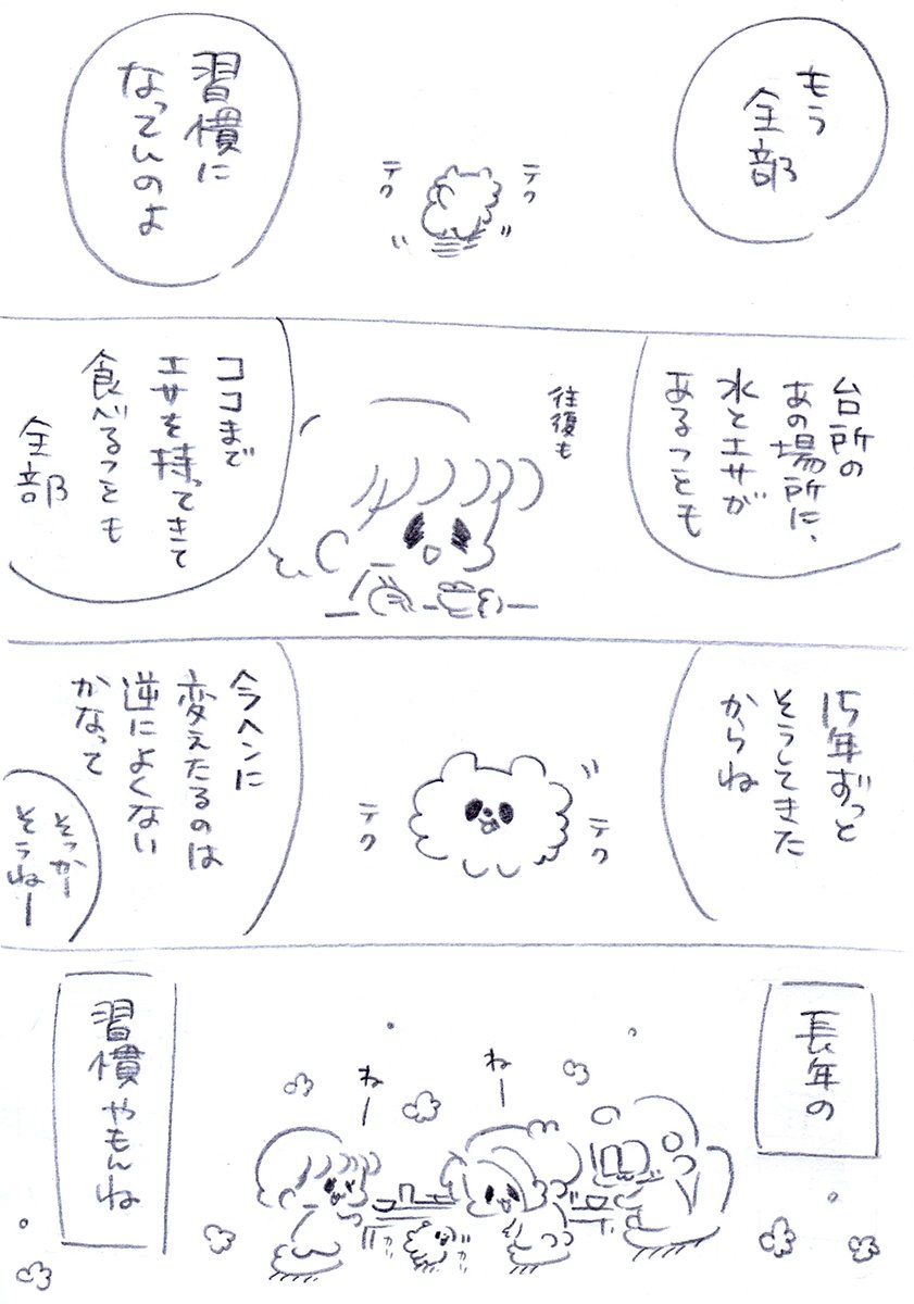 一粒ずつ持ってきて食べてたの可愛かったな😋
#うちのおばあワン #犬のいる生活 