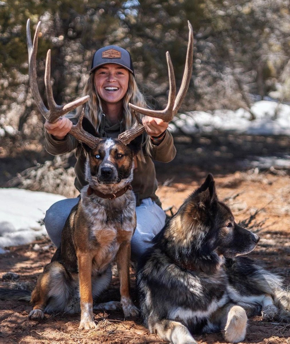 SPORTSMANchnl's tweet photo. "The only brown set I came out with on the trip. Made for a good prop. 🦌" - @lydiasmith00
There's always fun to be had while shed hunting!
#ITSINOURBLOOD #hunting #shed #shedhunting #shedseason #shedrally #dog #sheddog #antlers #bone https://t.co/vWRlc9O5yl