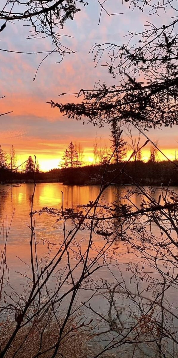 CEO-OF-BTC-ETH-Marco 🇨🇦 tweet media