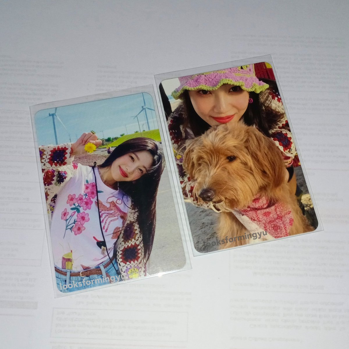 looksformingyu's tweet photo. wts red velvet hello joy pc ph
    — onhand, in good condi, TINGI
    — benji (₱350) and sunflower (₱300) set

SET price: ₱600 + pf
🧾: payo
🚚: jnt, jrs, lbc https://t.co/6znp9sokyY