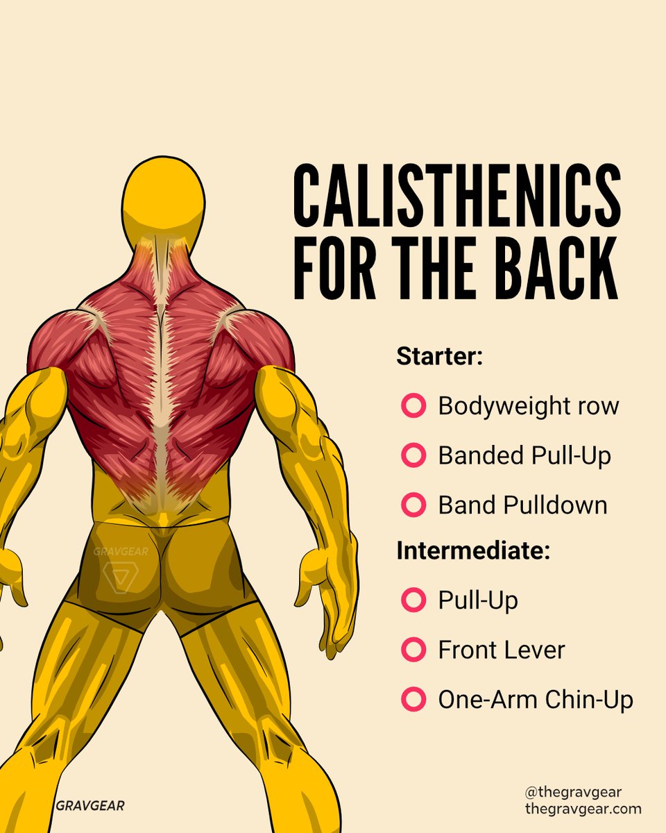 ★ These are our favorite exercises for the back. There are definitely a lot more to be mentioned. Let us know what's your fav in the comment below!

#gravgear #weightedvest #weightedworkout #workouttips #workoutmotivation #workoutideas #fitnesstips