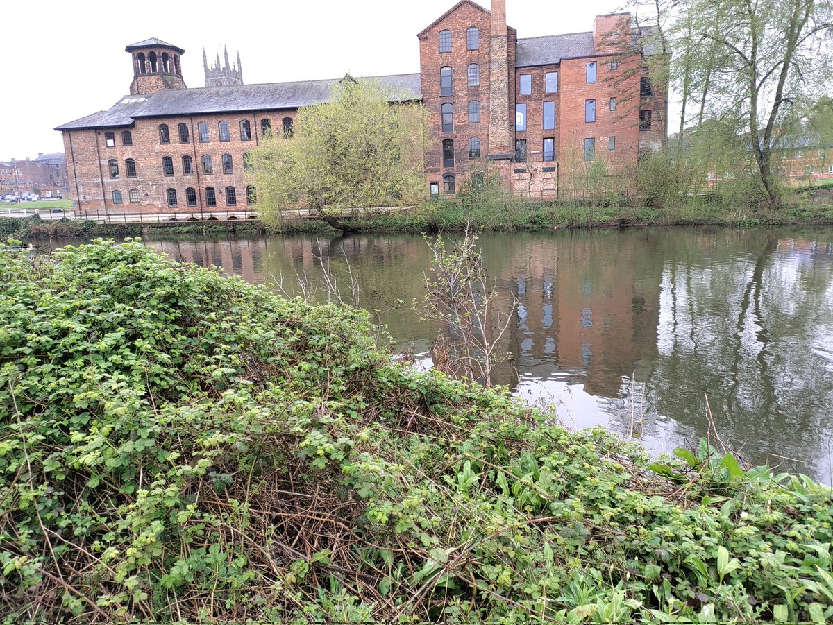 A small team from @Derby_Canal / @DerbyRiverboat did a litter pick around the beautiful river Derwent in central Derby today and collected 2 bin bags FULL of litter! ☹️ But it looks a lot tidier now. @cleanupbritain @MuseumofMaking @DerbyCC @DerbyRowingClub @KeepBritainTidy