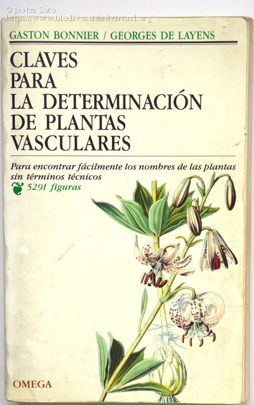 Pues fliparías con este crossover...