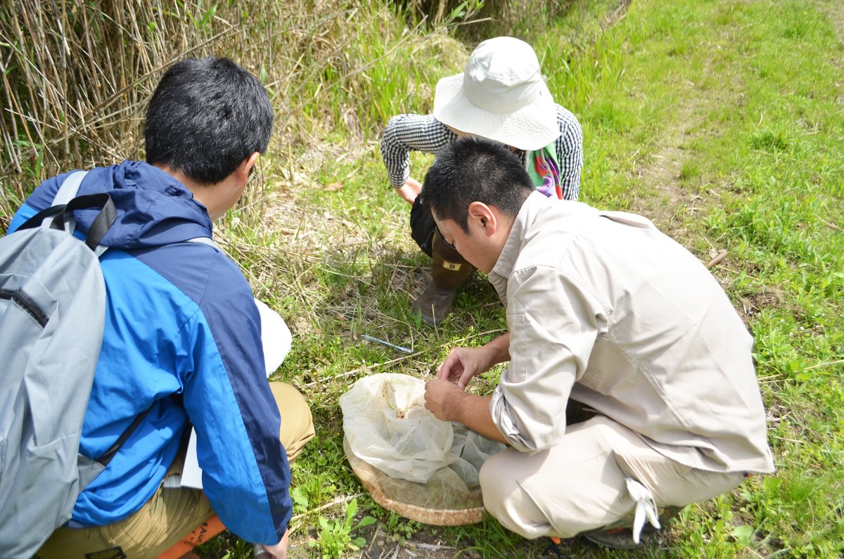 ECCOM_mie's tweet photo. 最近弊社では、とある場所で生物調査を開始しました。
今回は昆虫調査。これからジャンルごとに色々な調査をして、生態系を調べていく予定です🔎
#生物調査
#昆虫調査
#eccom
#里山
#環境調査 https://t.co/HKKhveVicM