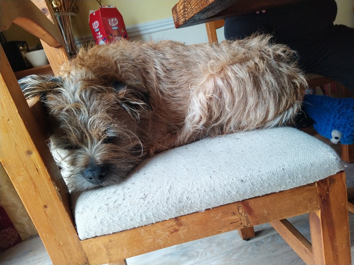 ScurvyDogBT's tweet photo. Got bored. Nuffin apnin in da gardin https://t.co/REn0oyWP8i