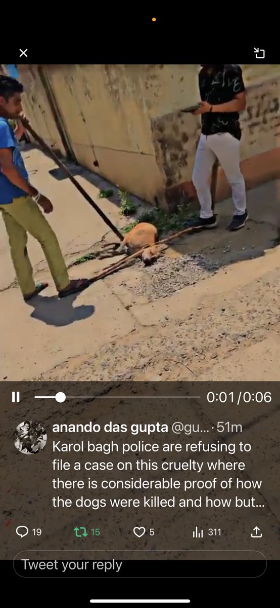 🆘 🙏 report this Heinous Animal Cruelty #MURDER
#KarolBagh  <a href="/JatinPaul/">Jatin Anand</a> <a href="/fpjindia/">Free Press Journal</a> <a href="/SSwarnaSrikanth/">swarna srikanth || स्वर्णा श्रीकांत</a> @scrible_anjali <a href="/scribe_prashant/">Prashant Kumar</a> <a href="/GitaSunilPillai/">Gita</a> <a href="/GitanjaliDas89/">Gitanjali Das</a> <a href="/KhushbooChoukse/">Khushboo Choukse</a> <a href="/lalclicks/">lal singh</a> <a href="/Salaria_Shikha1/">Shikha Salaria</a> <a href="/ANI/">ANI</a> <a href="/the_hindu/">The Hindu</a> <a href="/CNNnews18/">News18</a> <a href="/dhairyagajara/">Dhairya Gajara</a>  <a href="/JagranNews/">Dainik Jagran</a> <a href="/DainikBhaskar/">Dainik Bhaskar</a>