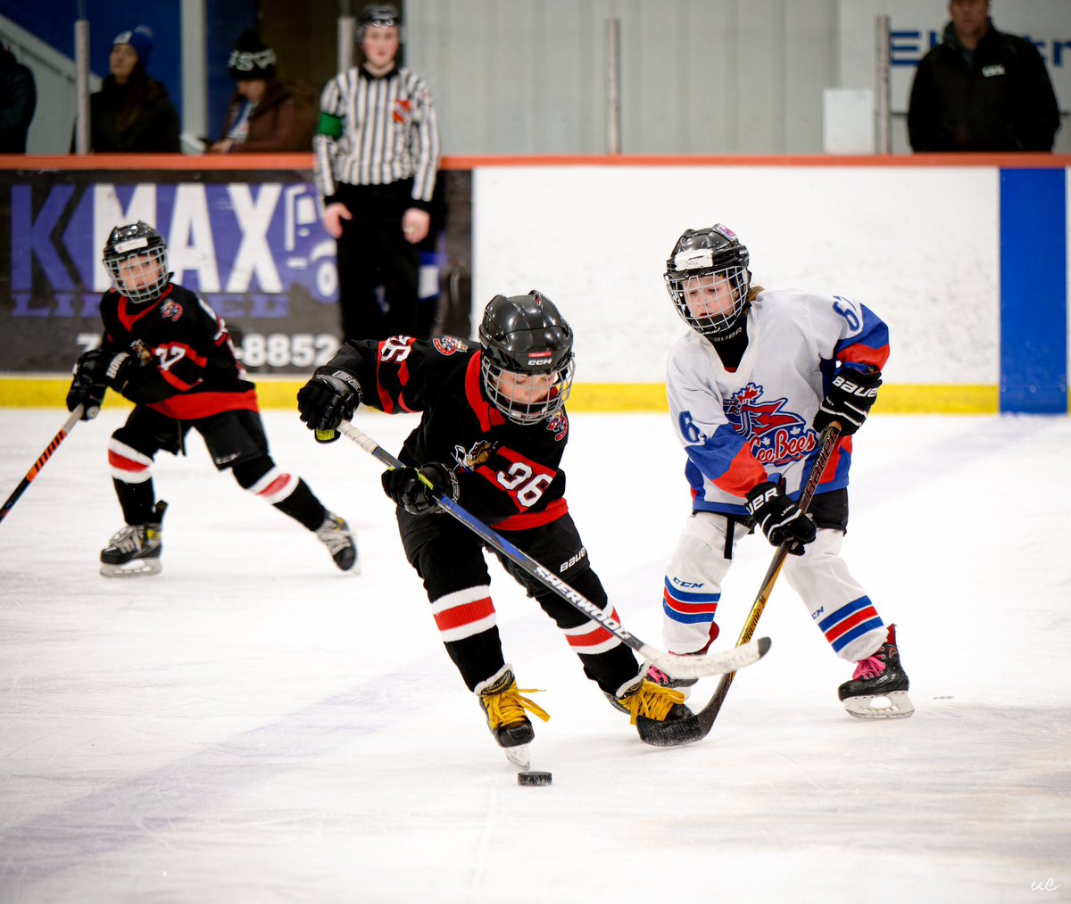 AvalonCeltics's tweet photo. What a weekend! What a tournament! Championship Sunday kicks off at 9 AM with #CeeBees taking on @Goulds_Minor in @abby_newhook Division semifinal action. Stream here: https://t.co/GWkioiMuWI @HkyNL @DJHLnews https://t.co/TlHxbplkL9
