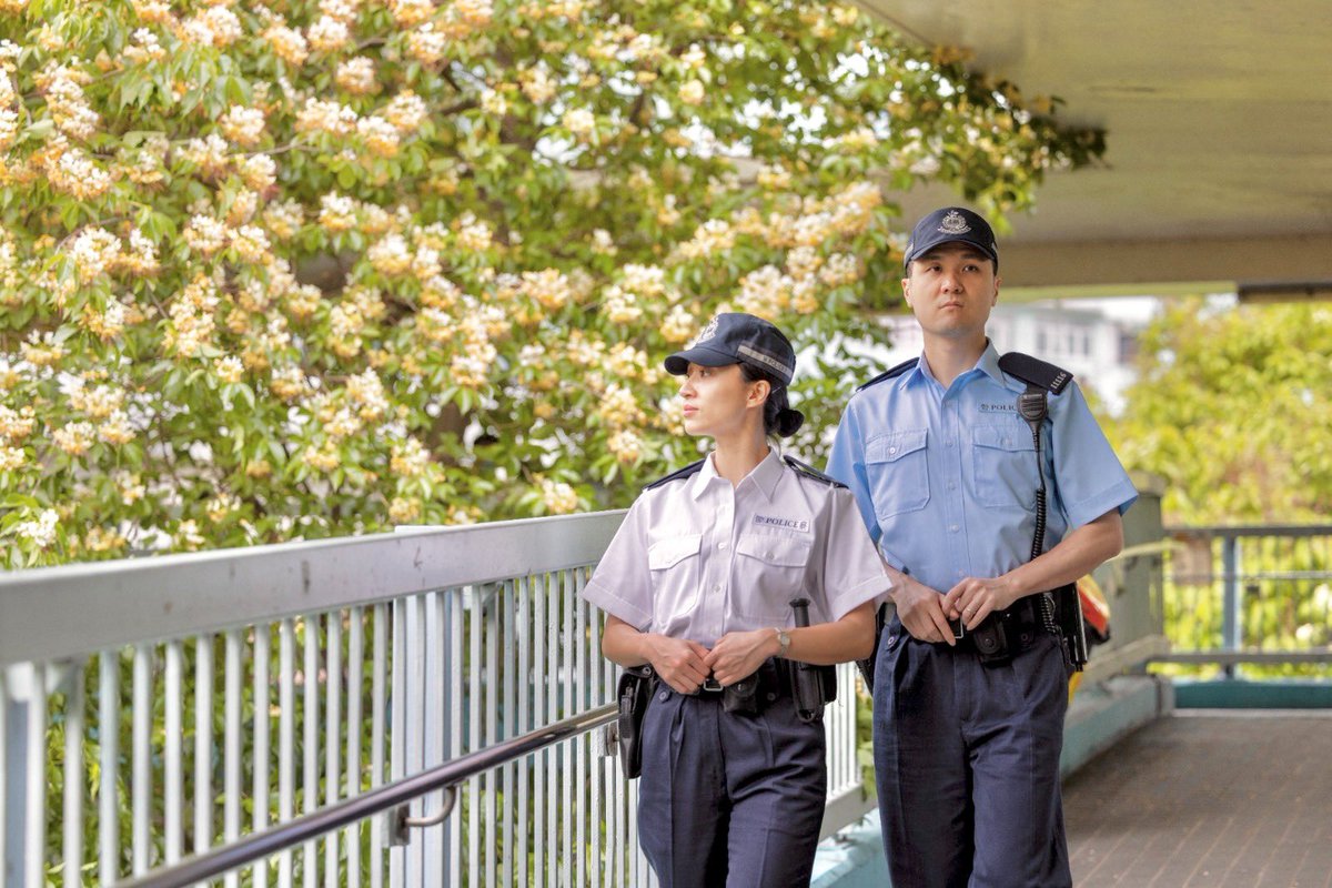 hkpoliceforce's tweet image. #HKPFootprint🚓|#SpiderTrees🌼🌳in📍#PrinceEdward+#TaiKokTsui’re blooming w/ luxuriant petals in mellow yellow+demure ivory,w/ scarlet spidery stamens peeking thru them—blending in w/ the neighbourhood harmoniously,like how👮🏻‍♂️👮🏻‍♀️’ve you covered in every nook+cranny of everyday life