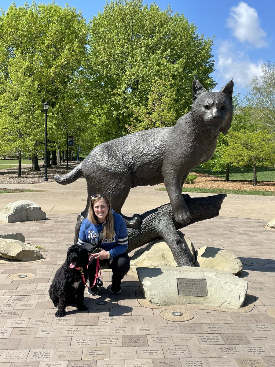 amliter's tweet photo. Even dogs love the Wildcats @WildcatStatue https://t.co/ABGYVDpERZ