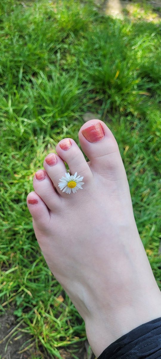 soekchenQQ's tweet photo. What a beautiful sunny day 😁
https://t.co/IpJWnYOpn9 😜
#feet #socken #feetfetish #nails #nagellack #flower #sunny #feetlover #grass #onlyfans #onlyfansgirl https://t.co/QBH4gQ6hD0