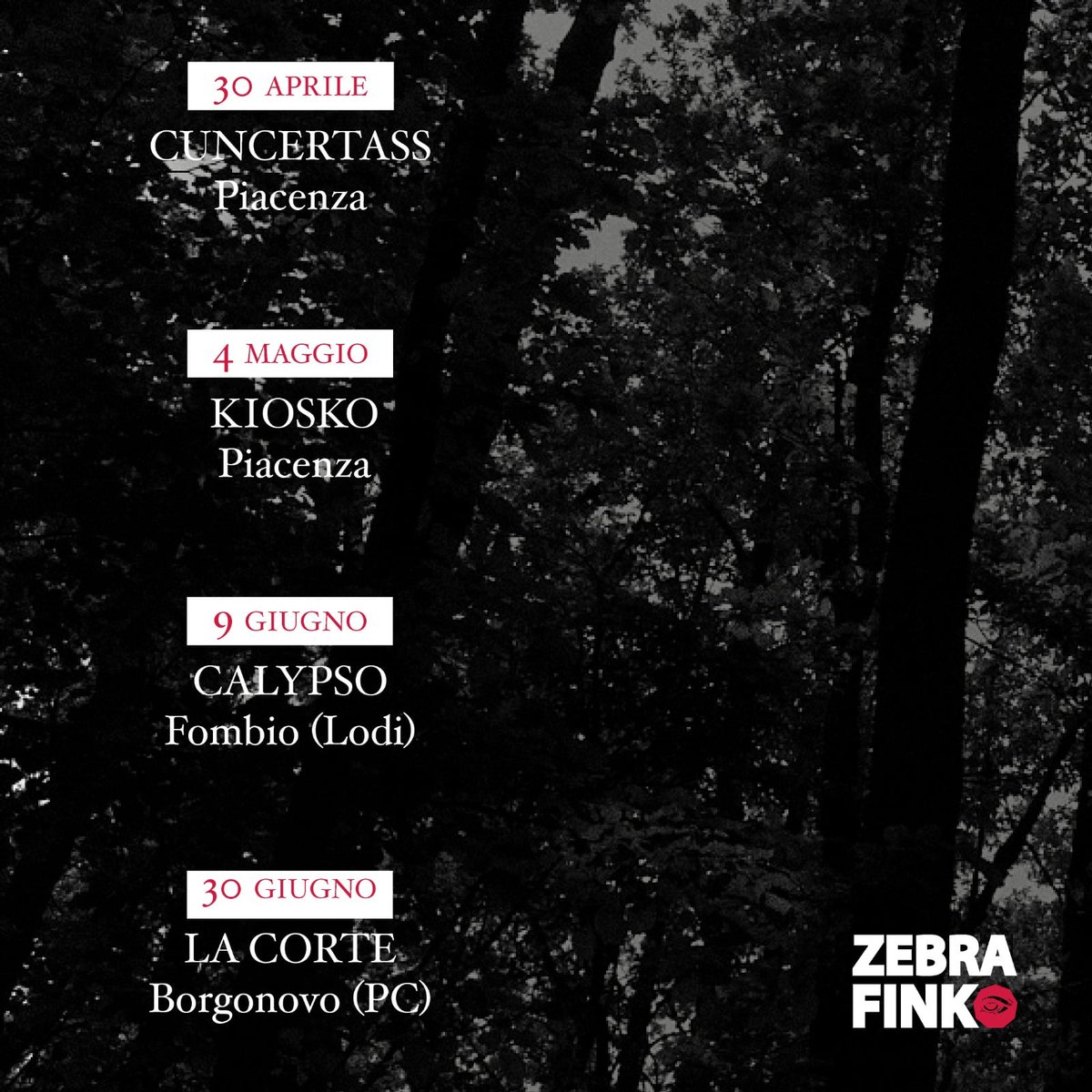 ZebraFinkBand's tweet photo. Prossime date... https://t.co/l25vI2dwvU