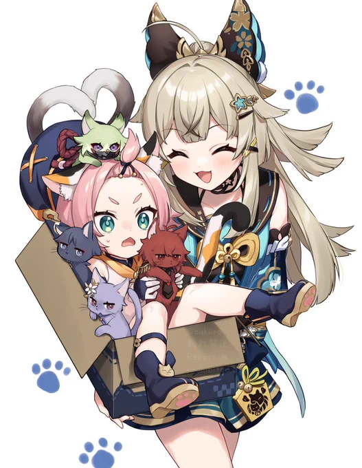 ネコチャン便 