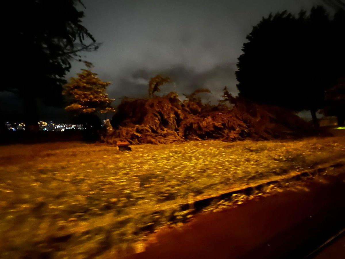 ch1n0ramirez's tweet photo. Por favor @ECU911Quito la madrugada de hoy, árbol caído la Rafael Aulestia y César Borja sobre las mallas de acceso al Parqueadero C del Parque Bicentenario.
@MunicipioQuito @ObrasQuito qué van hacer con los otros árboles y las mallas? @teleamazonasec @ecuavisa https://t.co/yY1l1Hfuao