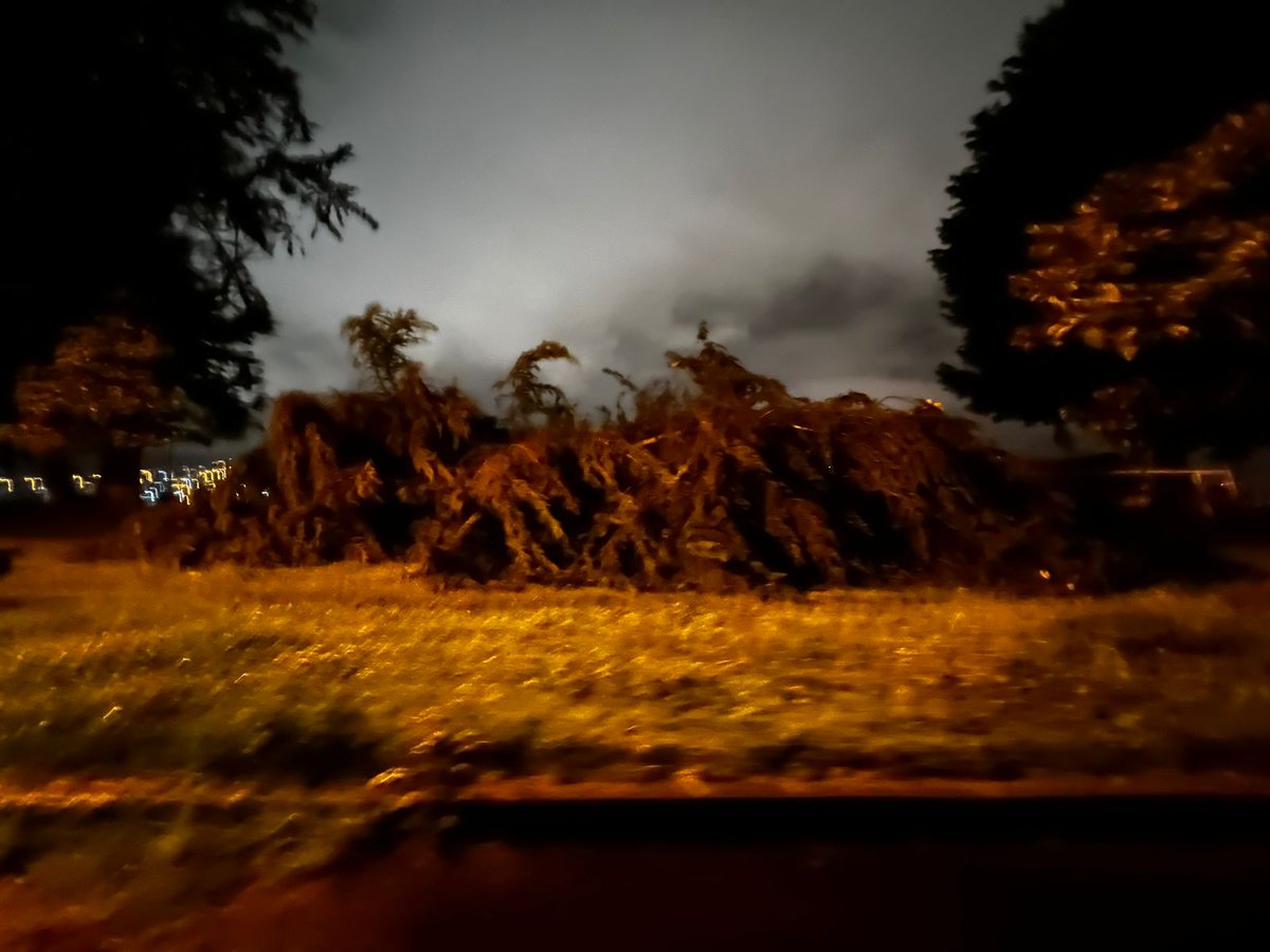 ch1n0ramirez's tweet photo. Por favor @ECU911Quito la madrugada de hoy, árbol caído la Rafael Aulestia y César Borja sobre las mallas de acceso al Parqueadero C del Parque Bicentenario.
@MunicipioQuito @ObrasQuito qué van hacer con los otros árboles y las mallas? @teleamazonasec @ecuavisa https://t.co/yY1l1Hfuao