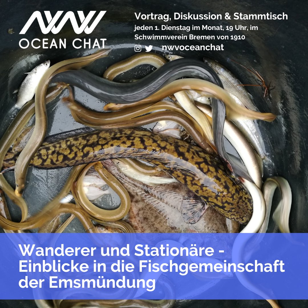 NWV Ocean Chat tweet media