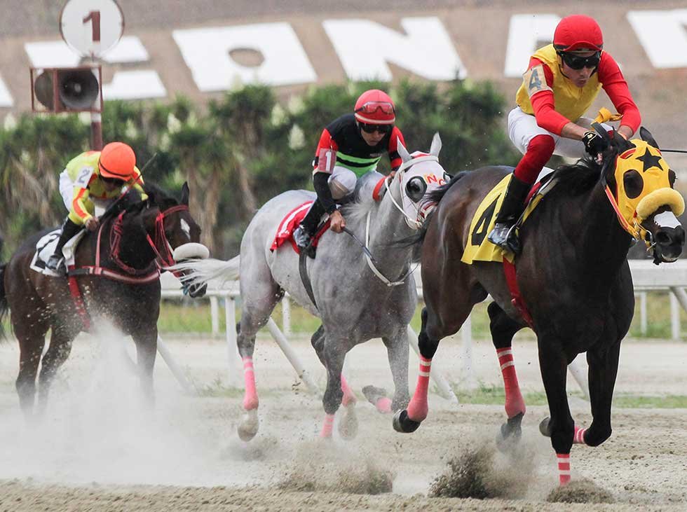 clubhipicoxtves's tweet photo. #Hipismo #LaRinconada #UltimaHora #eeuu
Arranca Ganando en la 1era Carrera hoy #Domingo23 con LA LUPA DEL DINERO y su Mensajeria la 8866
Envia ( C1 AL NUMERO 8866 ) Recibiras el Ganador de la 1era Carrera
#VIP 04144637961 #WASAP
PDVSA Divina #clubhipicoxtlt #CLUBHIPICOXTVES https://t.co/Zl9AyUVOTD