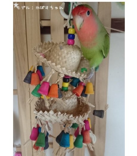 torimani's tweet photo. ／
鳥さんの健康にとって優しい素材だけを使用した、ナチュラルプレジャーシリーズが再入荷💓
＼

金属は一切使用してません🍀
🔻商品はこちらから🔻
https://t.co/oVZNaidGXj

#とりまに https://t.co/T41UlgkG9d