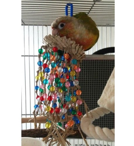 torimani's tweet photo. ／
鳥さんの健康にとって優しい素材だけを使用した、ナチュラルプレジャーシリーズが再入荷💓
＼

金属は一切使用してません🍀
🔻商品はこちらから🔻
https://t.co/oVZNaidGXj

#とりまに https://t.co/T41UlgkG9d