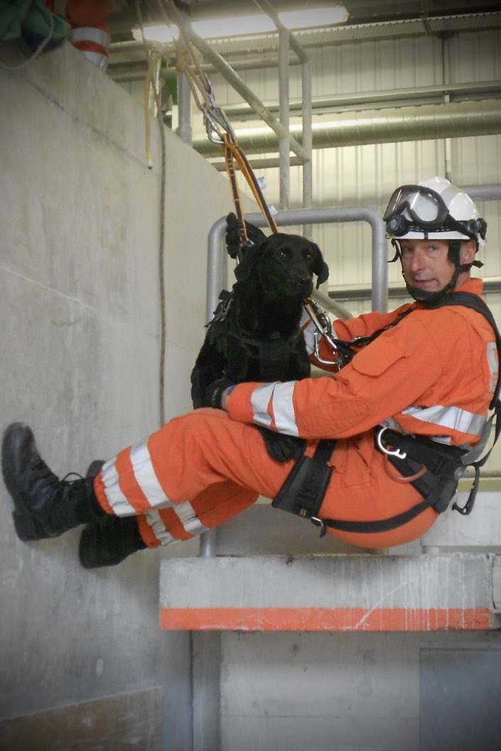 _RobNorman's tweet photo. 🌈 🐾 Heartbreaking news this week that former @WMFSTechRescue and @UK_ISAR_TEAM search dog Mac, has crossed over the rainbow bridge. 
The thoughts of both teams @WestMidsFire are with Pete and the family at this time. 🐾🌈 https://t.co/vZHRMJLpzU