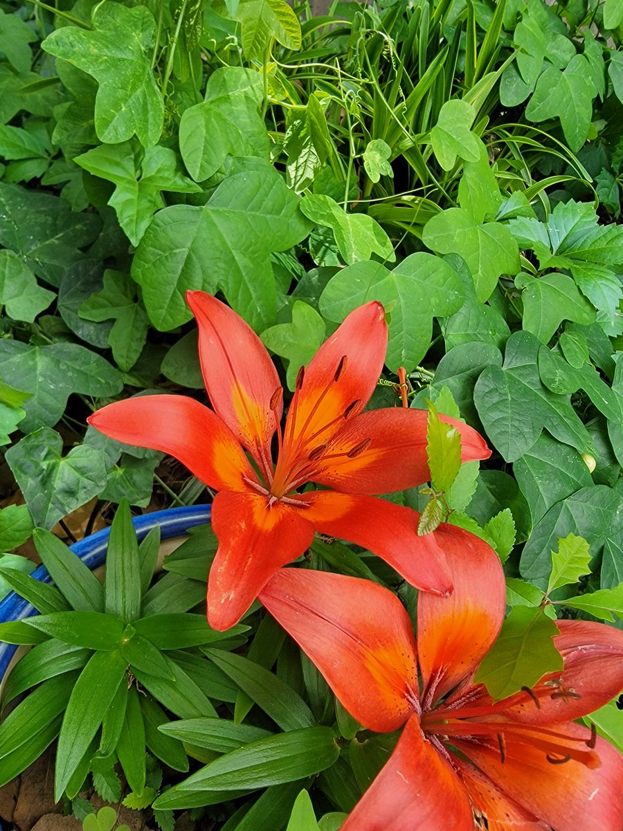 Loving spring this year.