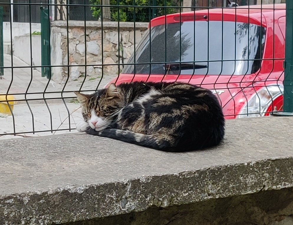 @YedekPersona Bugün çekmedim ama bir tane de ben atayım 🥳