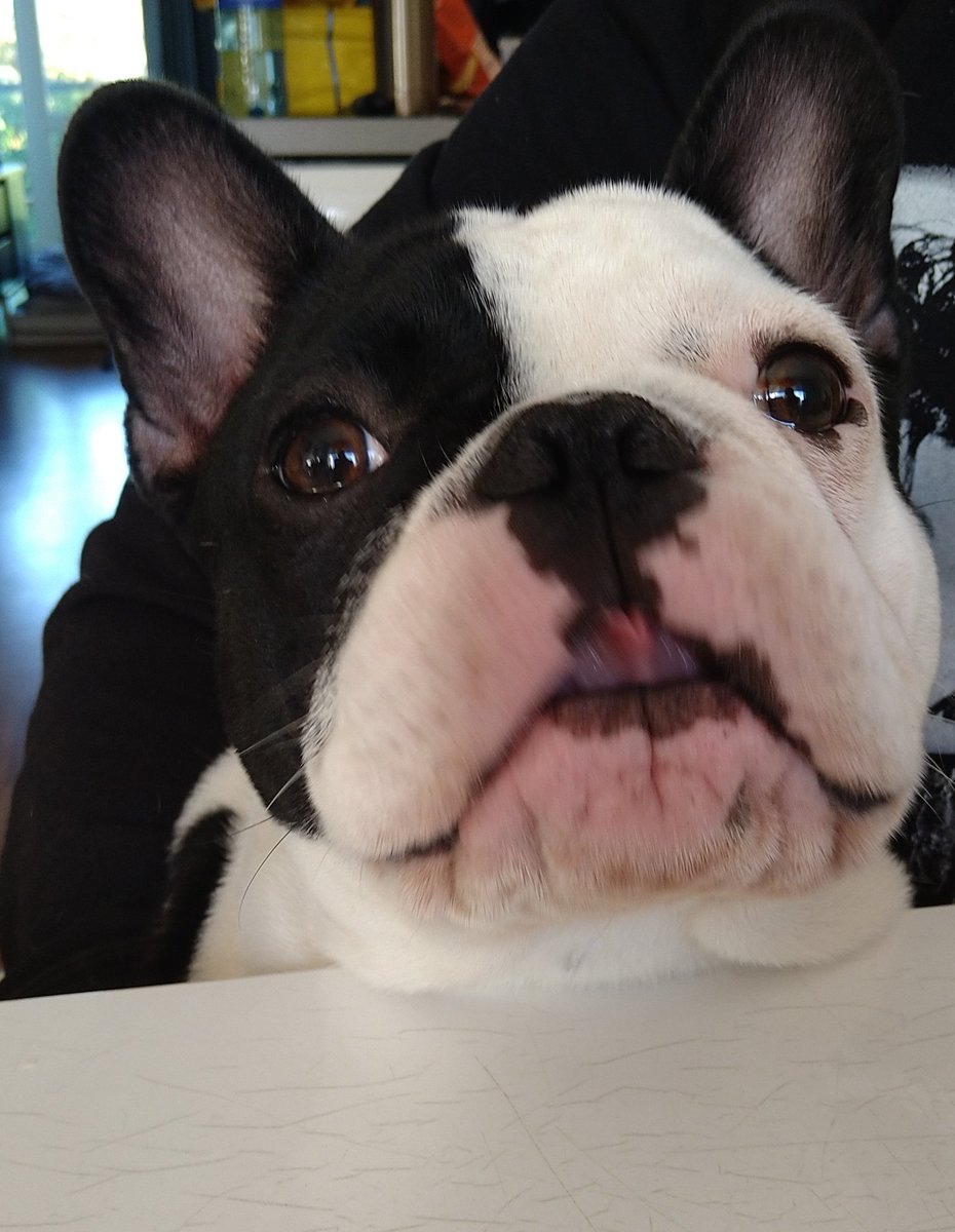 Maria Wiman tweet media