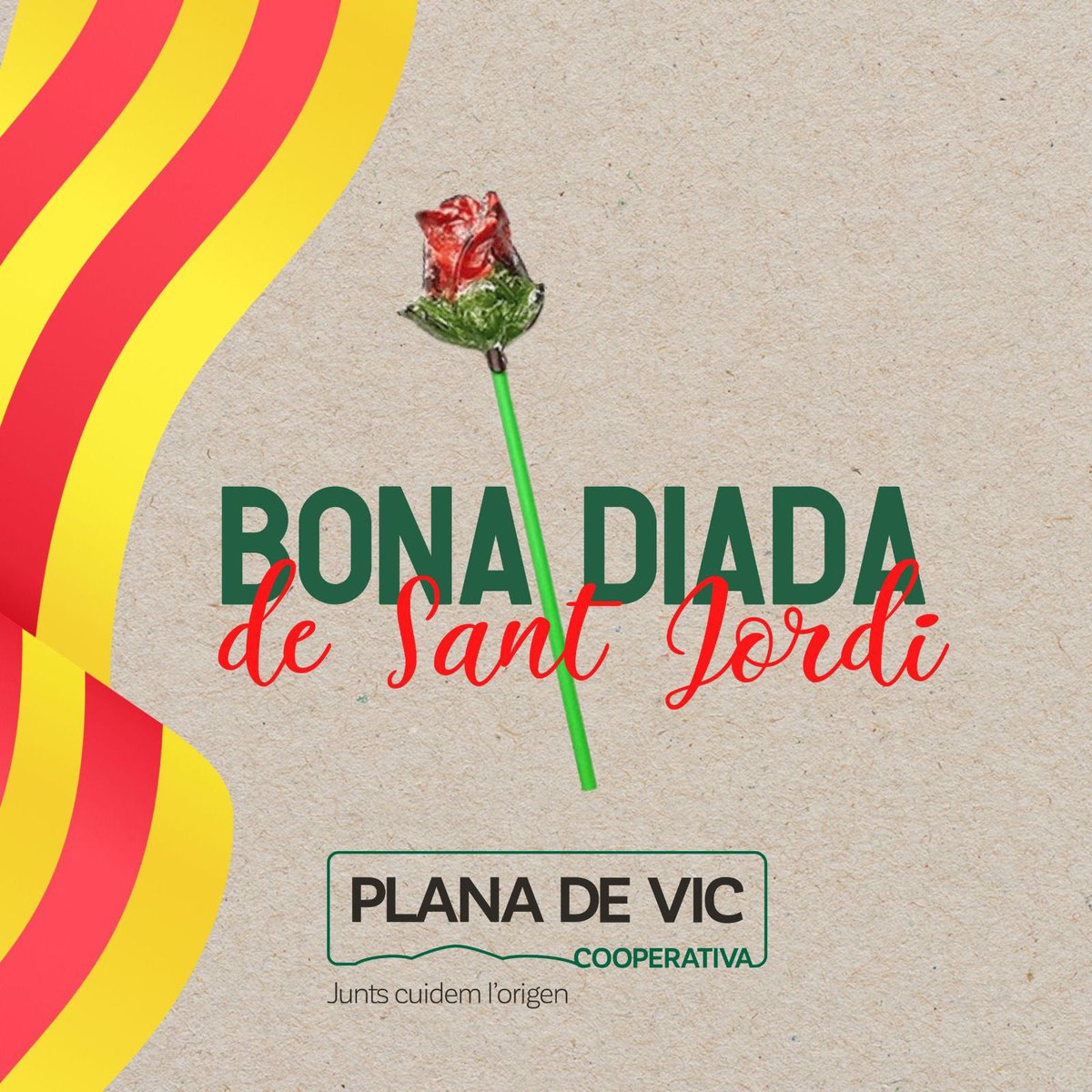Molt bona diada de Sant Jordi! 🌹📖🐉

#santjordi #agricultura #ramaderia #osona #osonagram #productesdelaterra #cooperativa #pagesia