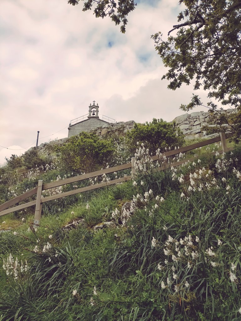 loves_galicia's tweet photo. 📌 Monte Alba
Bo día tuiteirxs #vigo #galicia #riadevigo #montealba #galiza #fainoengalego https://t.co/otF8eoxSTd