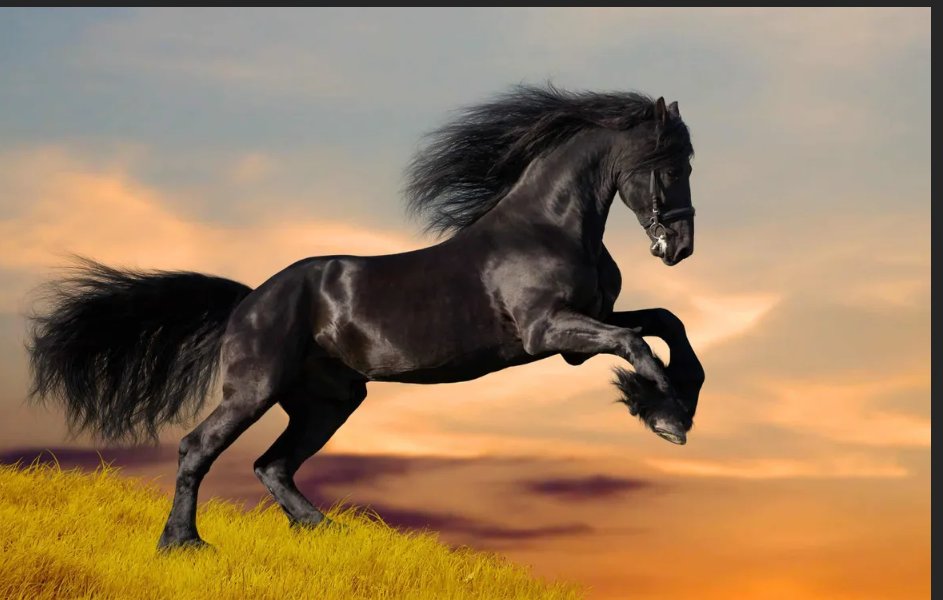 @maddykins133 @MarceTeAyuda @MarcelaErica @NewCarlonet @Gian0177 @RunPierwork13 @Ldovyka @DyeLLEn_QuEEn @IsadoraReal_ @Zar_43 #1Drive I followed everyone here because the lead horse followed.
I did this because I believe in the lead horse. I did it out of an extension of love. @TMlinek_Soldado Thank you.