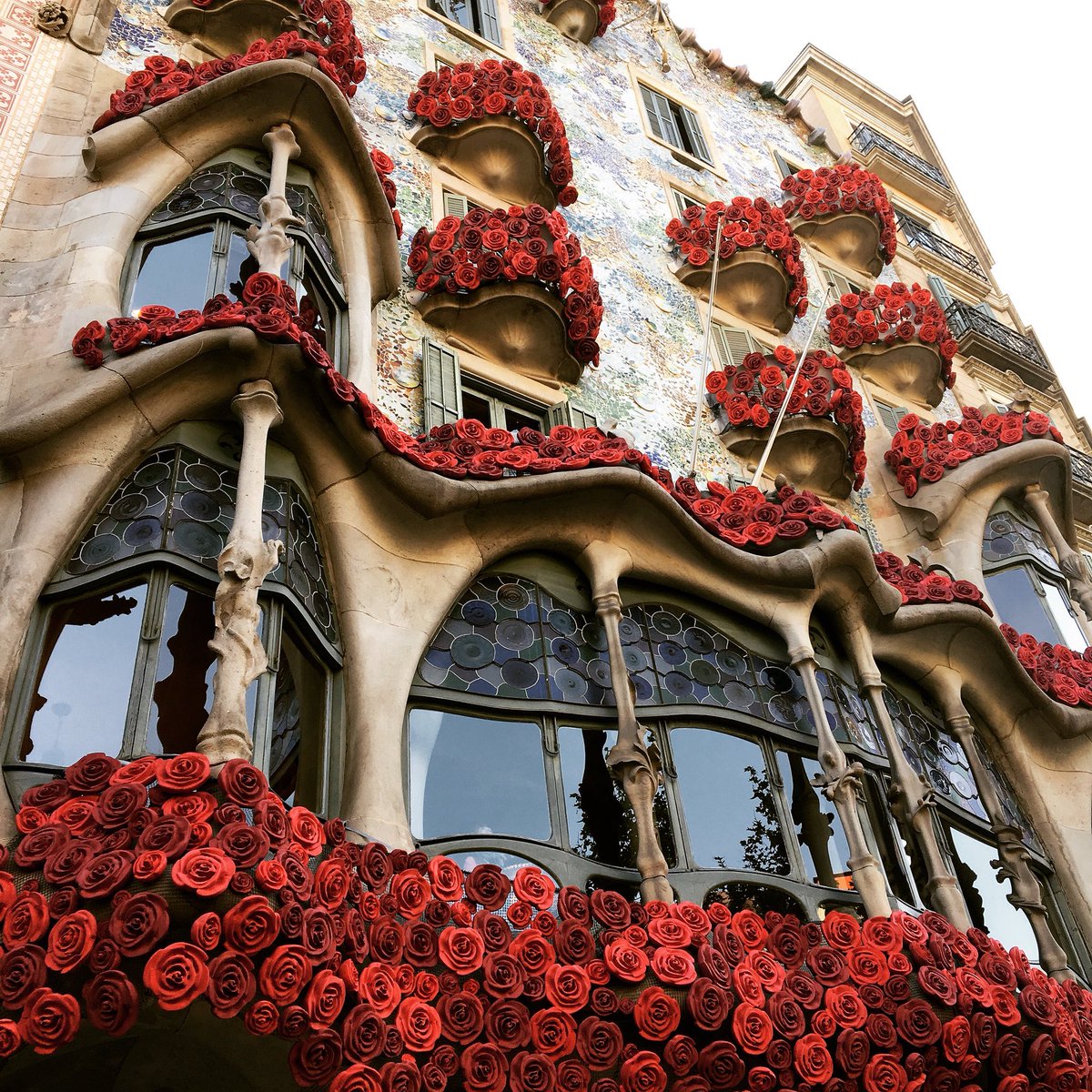 Que esplèndida et veus vestida amb el roig encès de la rosa de Sant Jordi!

Boníssima Diada a tots!!! 📖🌹♥️

#DiadadeSantJordi